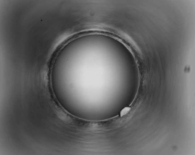 X0000103171360200808221224