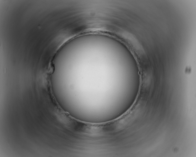 X0000103171361200808221224