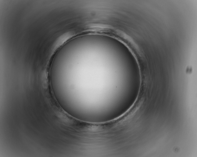 X0000103171362200808221224
