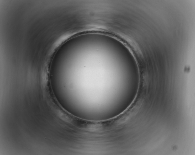 X0000103171363200808221224