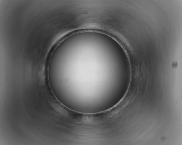 X0000103171364200808221224