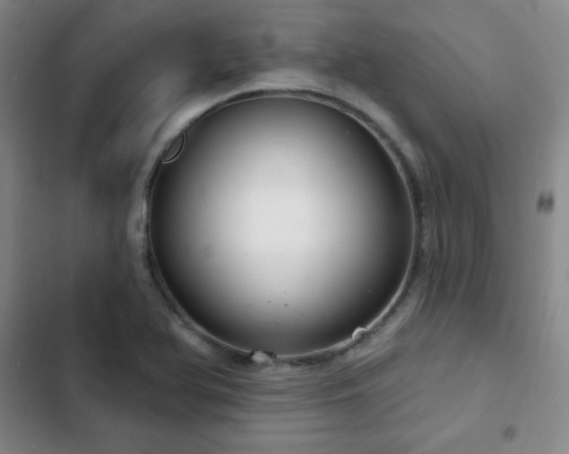 X0000103171366200808221224