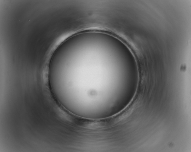 X0000103171367200808221224