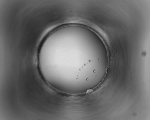 X0000103171368200808221224