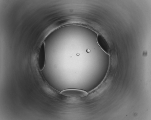 X0000103171369200808221224
