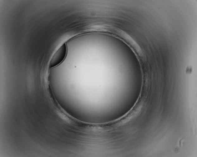 X0000103171370200808221224