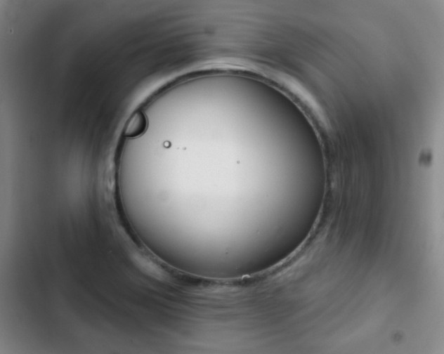 X0000103171372200808221224