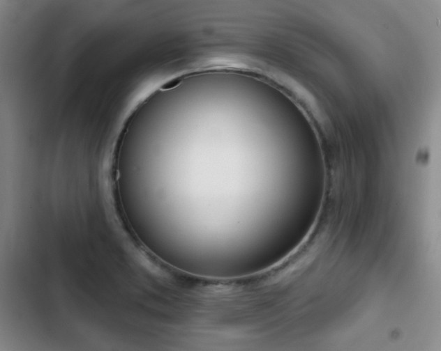 X0000103171373200808221224
