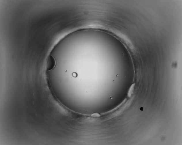X0000103171374200808221224