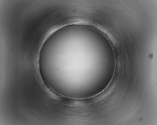 X0000103171375200808221224