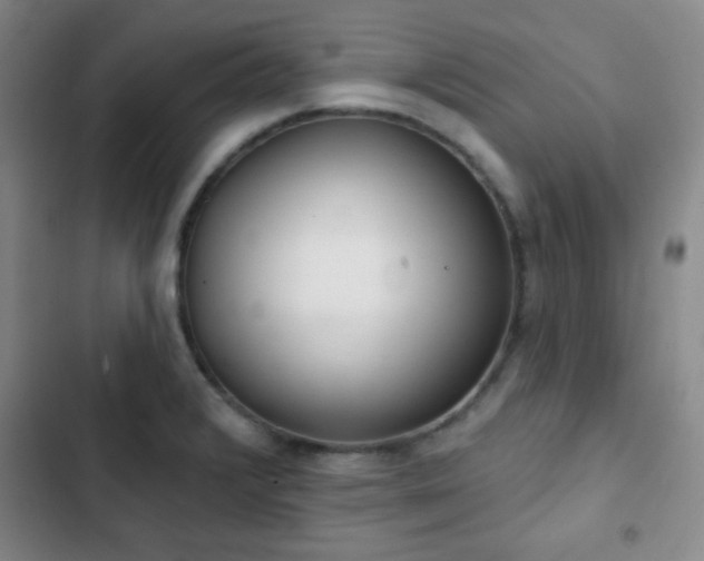 X0000103171376200808221224