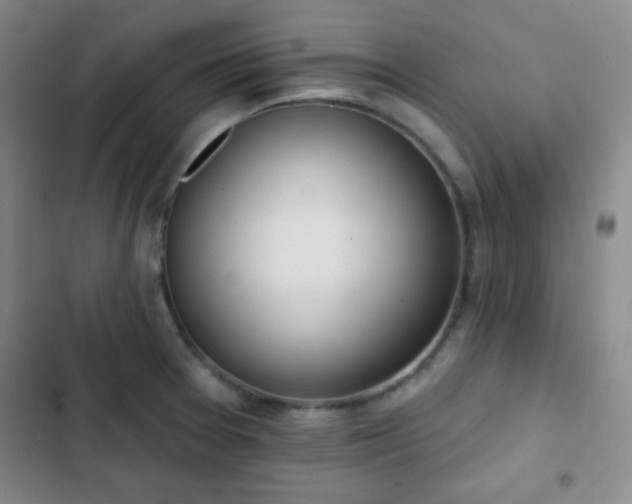 X0000103171377200808221224