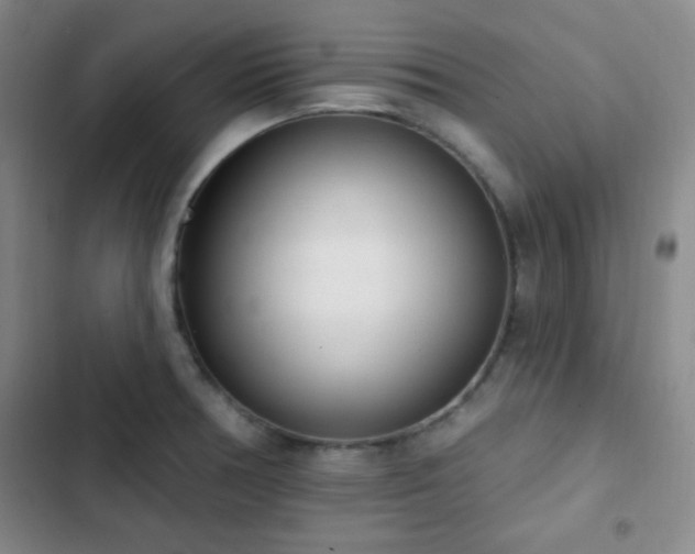 X0000103171378200808221224