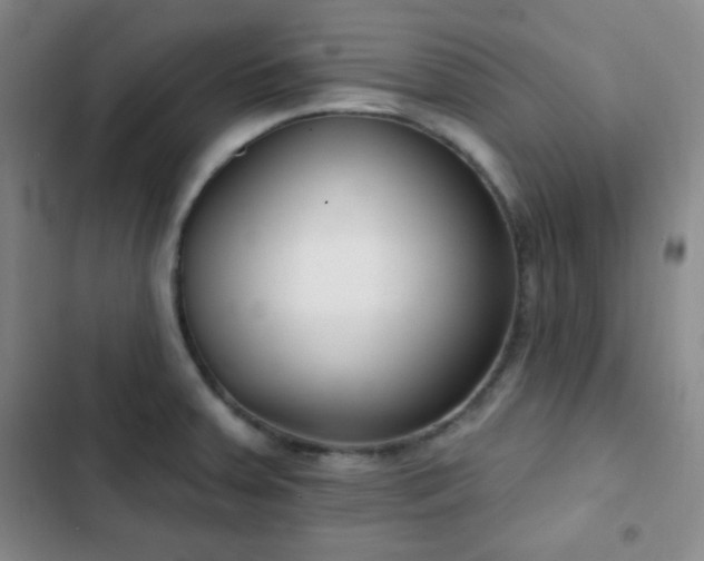 X0000103171379200808221224