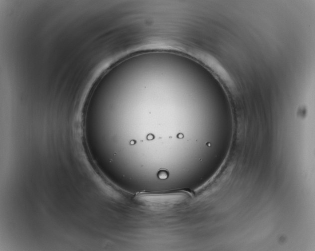 X0000103171380200808221224