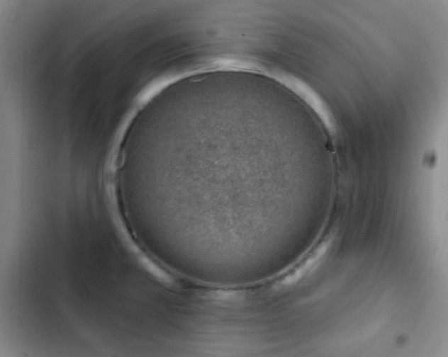 X0000103171381200808221224