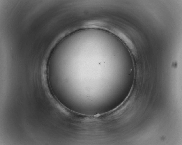 X0000103171384200808221224
