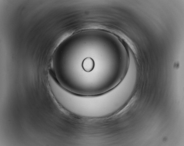 X0000103171385200808221224
