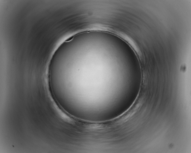 X0000103171387200808221224