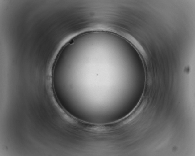 X0000103171388200808221224