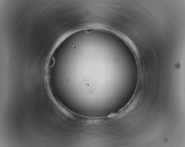 X0000103171389200808221224