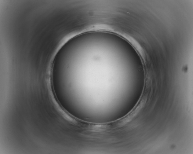 X0000103171390200808221224