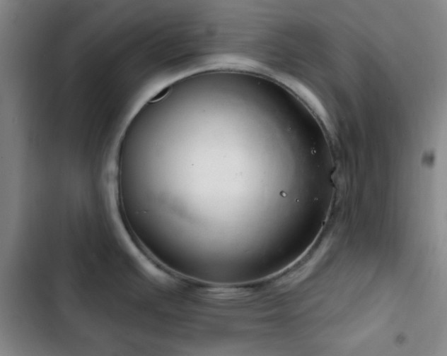 X0000103171391200808221224