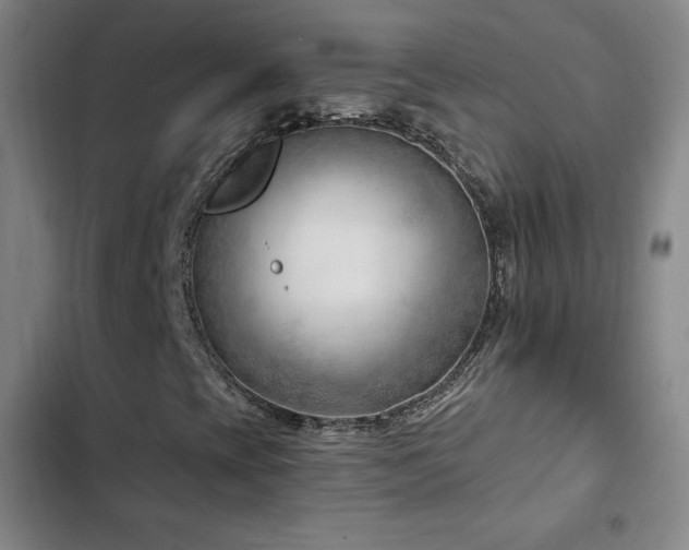 X0000103171393200808221223