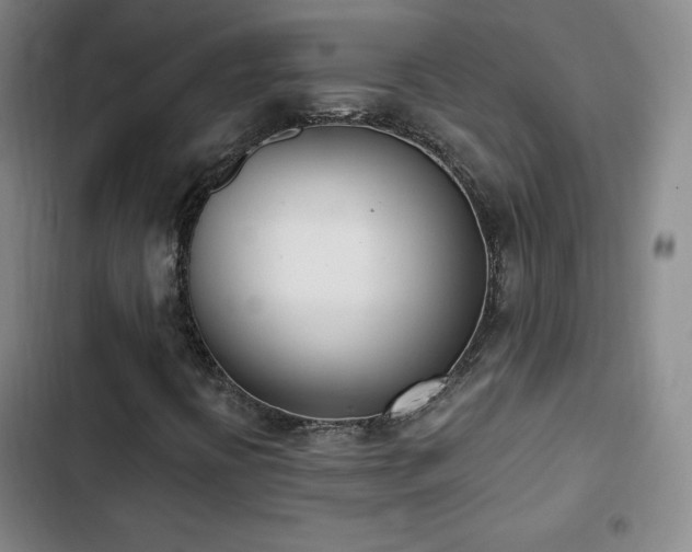 X0000103171394200808221223