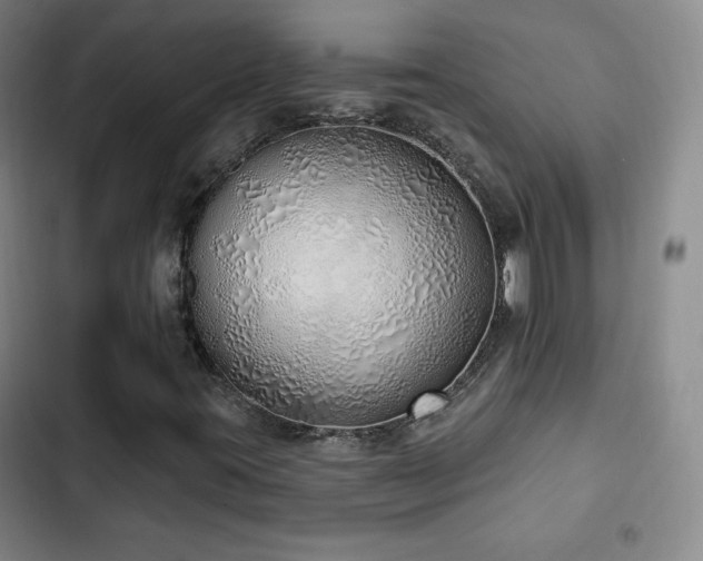 X0000103171395200808221223