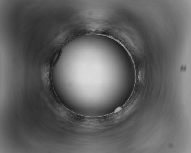 X0000103171396200808221223