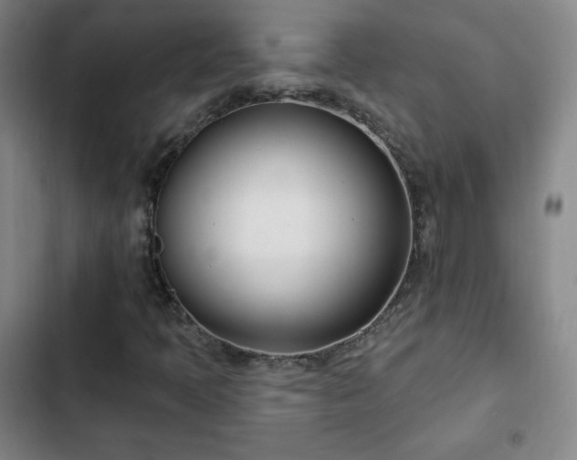X0000103171397200808221223