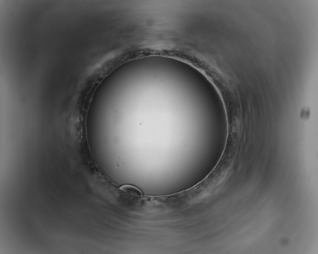 X0000103171398200808221223