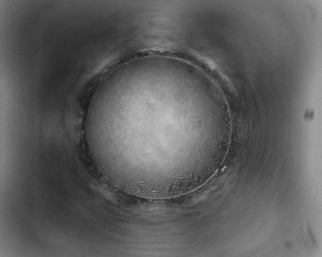X0000103171399200808221223