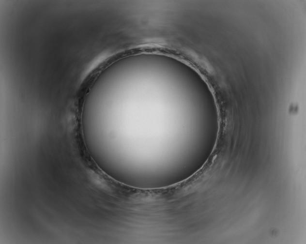 X0000103171400200808221223