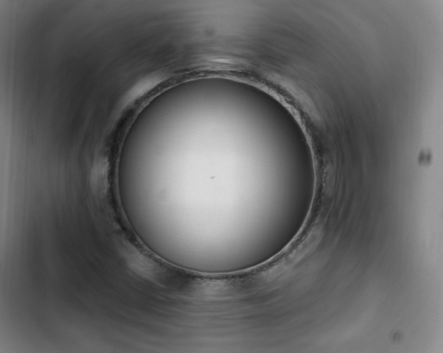 X0000103171402200808221223