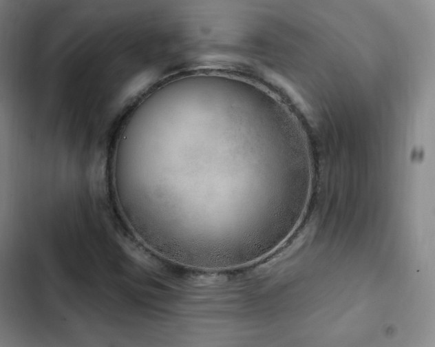 X0000103171403200808221223