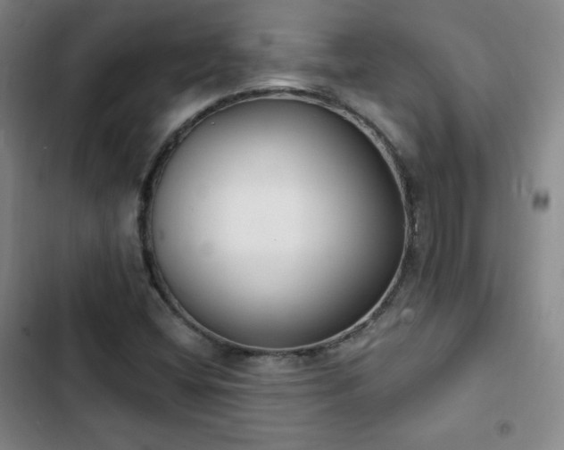 X0000103171404200808221223