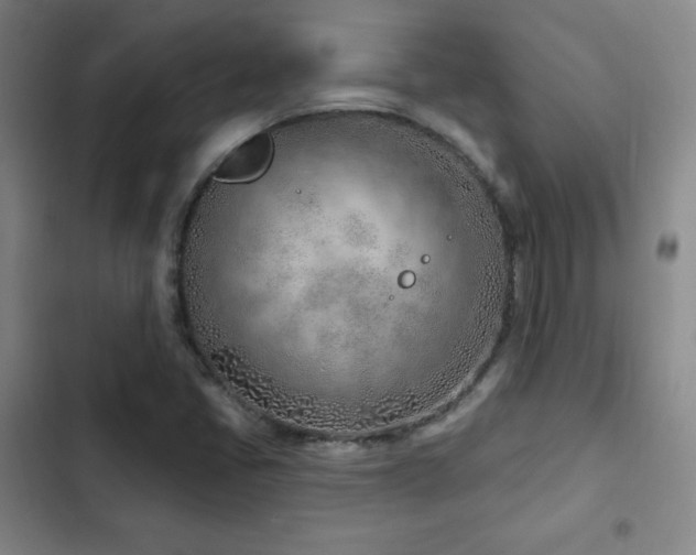 X0000103171405200808221223