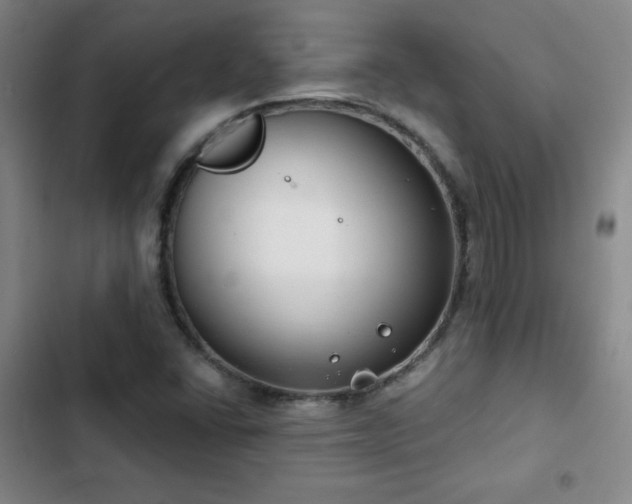 X0000103171406200808221223