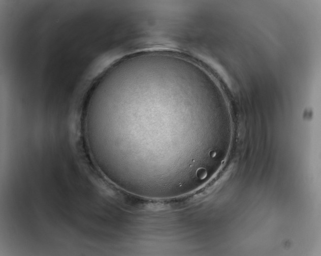 X0000103171407200808221223