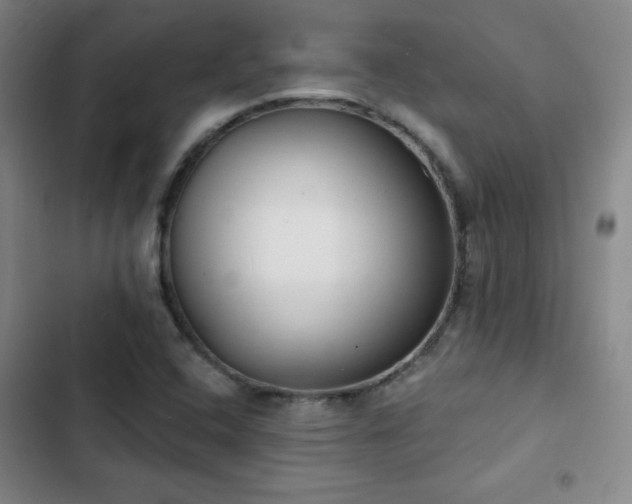 X0000103171408200808221223