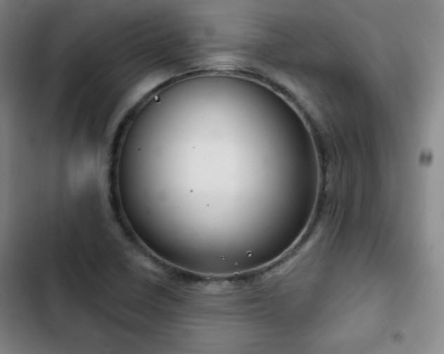 X0000103171410200808221223