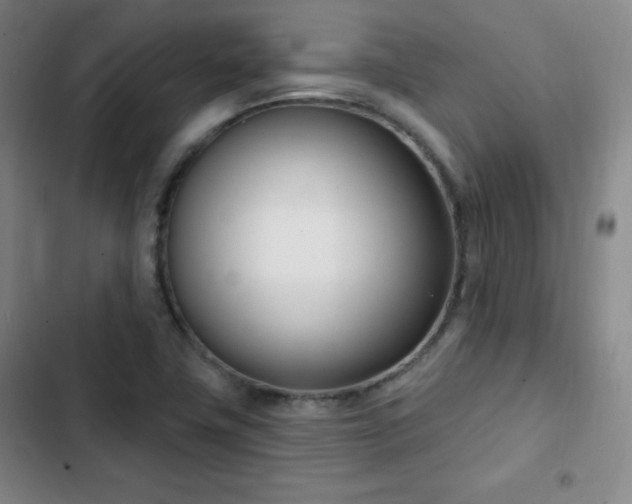 X0000103171411200808221223