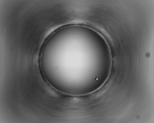 X0000103171412200808221223