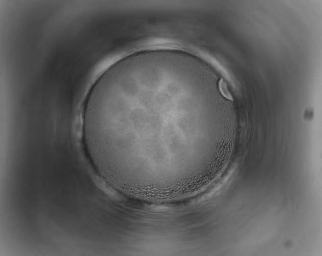 X0000103171413200808221223