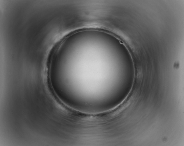 X0000103171414200808221223