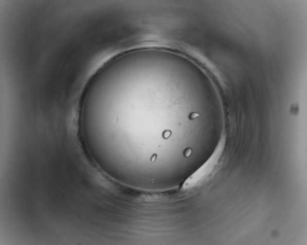 X0000103171415200808221223
