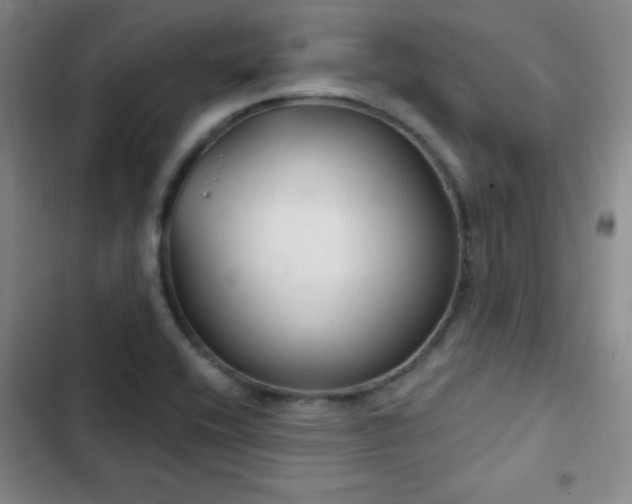 X0000103171416200808221223