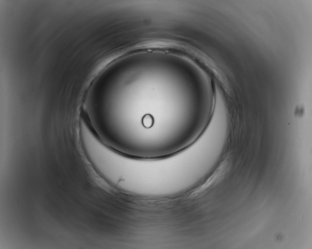 X0000103171417200808221223